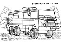 STEYR-PUSH PINZQAUER